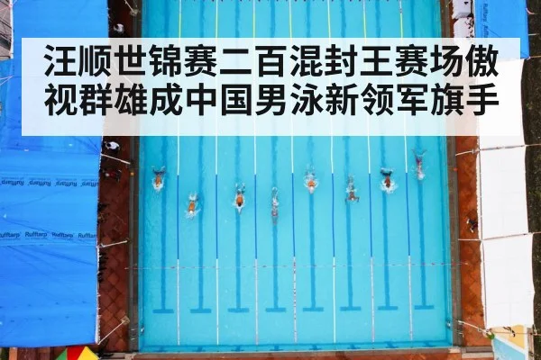 汪顺世锦赛二百混封王赛场傲视群雄成中国男泳新领军旗手